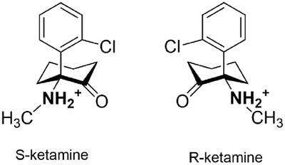 Biosensors Show the Pharmacokinetics of S-Ketamine in the Endoplasmic Reticulum